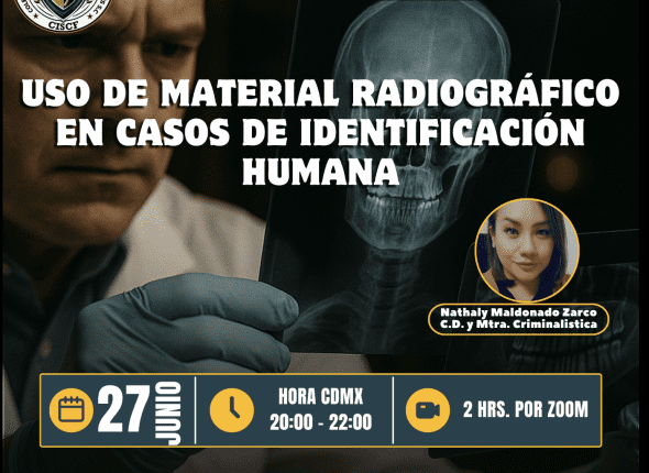 Captura de pantalla 2025-06-27 a las 1.10.47 a. m.